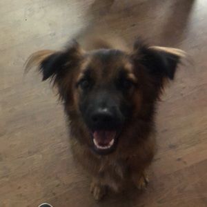 Meet your Posher, Ashton